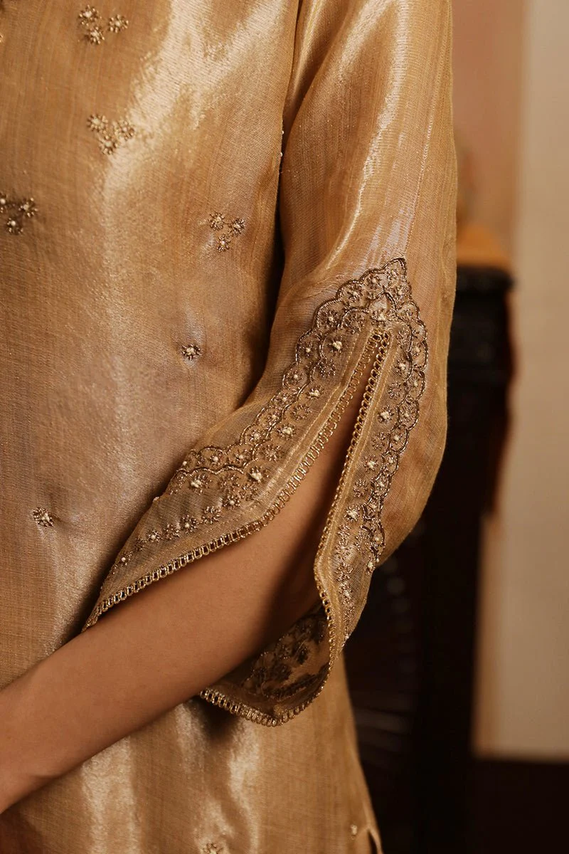 Rugby Tan Tissue Silk Salwar Suit - Image 3
