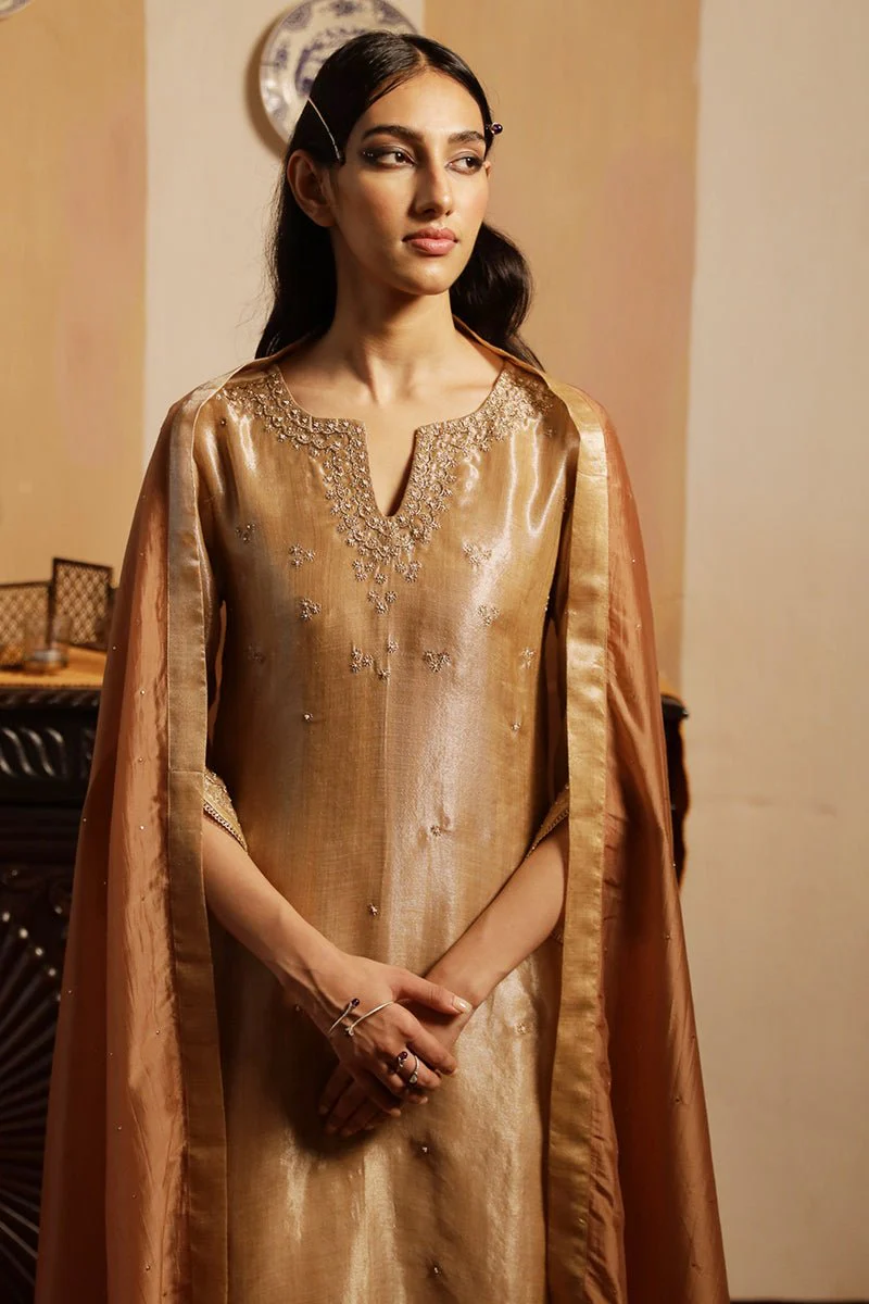 Rugby Tan Tissue Silk Salwar Suit - Image 4