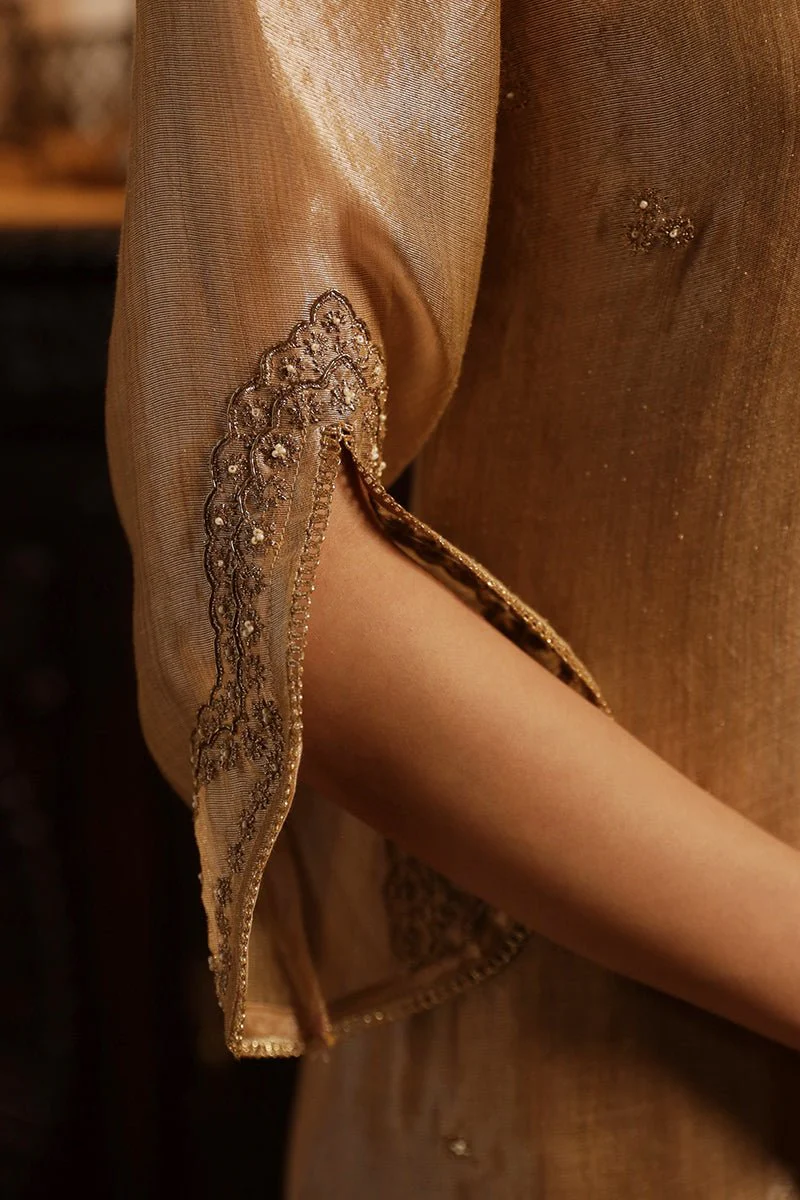 Rugby Tan Tissue Silk Salwar Suit - Image 6