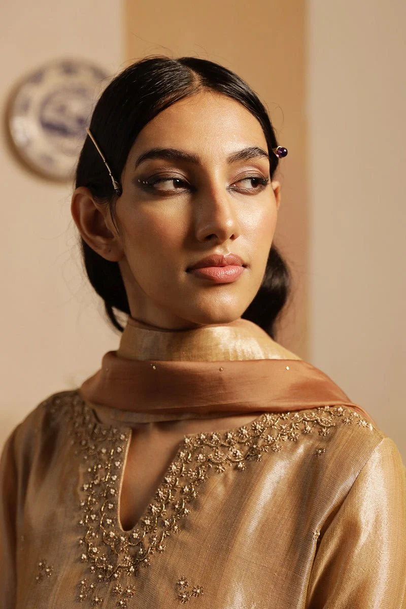 Rugby Tan Tissue Silk Salwar Suit - Image 7